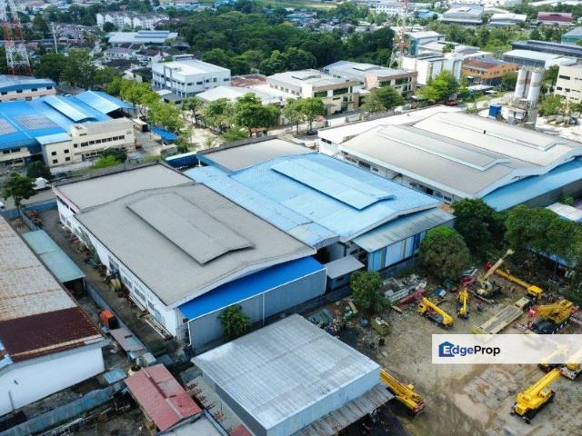 Tampoi