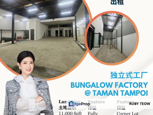 Tampoi