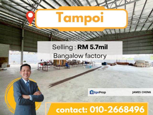 Tampoi