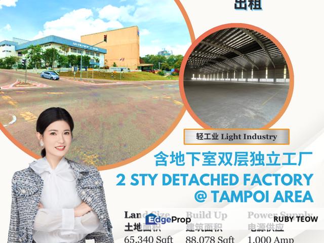 Tampoi