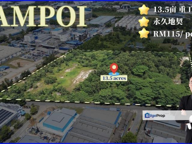 Tampoi