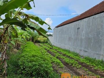 Tanah 4 are, Jl. Kamboja Gulingan Kapal Mengwi Badung