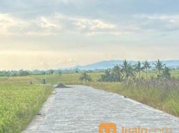 Tanah 4 are, Jl. Pantai Pasut Tibubiu Kerambitan Tabanan