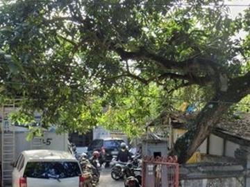 Tanah 4,2 Are di Gatsu Tengah Tonja Dekat McD Bedahulu Nangka RS Puri Bunda