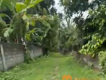Tanah 7,6 are, Jl. Bottle Kalanganyar Sudimara Bengkel Kediri Tabanan