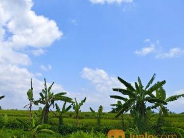 Tanah 1 are, Jl. Bima Perum Puri Ayodya Residence Nyitdah Kediri Tabanan