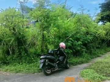 Tanah 1,15 are, Jl. Lingkungan Batanasem PEMKAB Badung Sempidi Mengwi