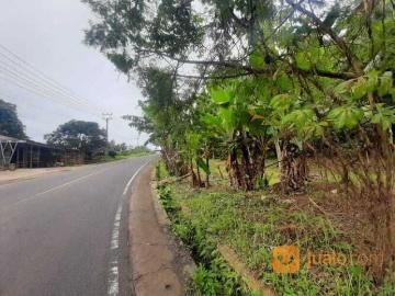 Tanah 2500 m Pinggir Jalan Raya Labuan Pandeglang