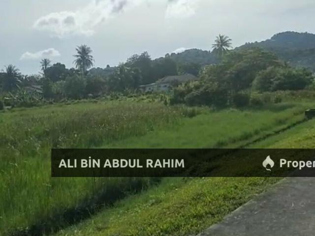 Tanah Tepi Jalan Lankawi