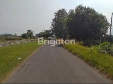 Tanah dijual di Cepiring, Kendal
