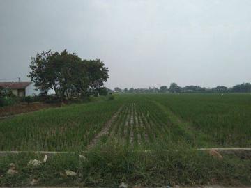 Tanah dijual di Cibitung, Bekasi