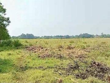 Tanah dijual di Cikande, Serang