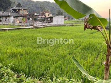 Tanah dijual di Cimalaka, Sumedang