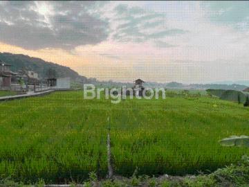 Tanah dijual di Cimalaka, Sumedang