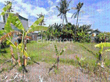 Tanah dijual di Baktiseraga, Buleleng