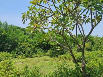 Tanah dijual di Balanipa, Polewali Mandar