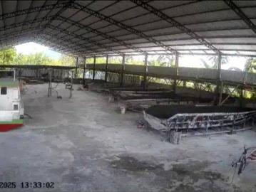 Tanah dijual di Banguala, Ambon