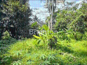 Tanah dijual di Banjar, Pandeglang
