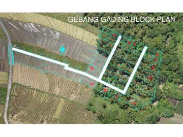 Tanah dijual di Beraban, Tabanan