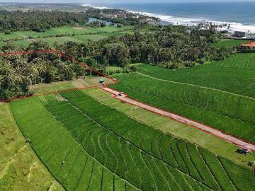 Tanah dijual di Beraban, Tabanan