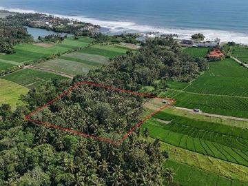 Tanah dijual di Beraban, Tabanan