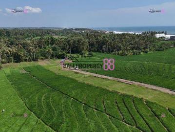 Tanah dijual di Beraban, Tabanan