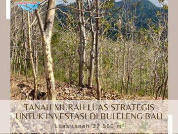 Tanah dijual di Buleleng, Buleleng