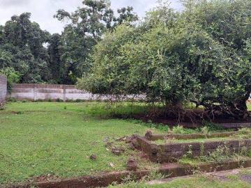 Tanah dijual di Buleleng, Buleleng