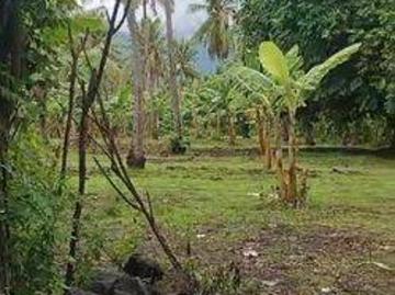 Tanah dijual di Gerokgak, Buleleng
