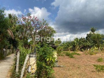Tanah dijual di Gerokgak, Buleleng