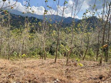 Tanah dijual di Gerokgak, Buleleng