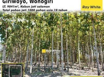 Tanah dijual di Giriwoyo, Wonogiri