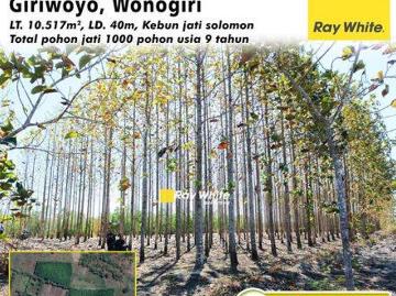Tanah dijual di Giriwoyo, Wonogiri