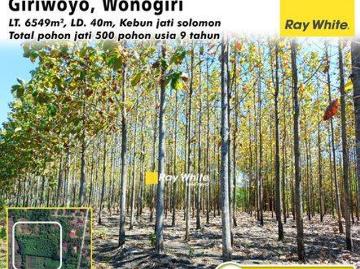 Tanah dijual di Giriwoyo, Wonogiri