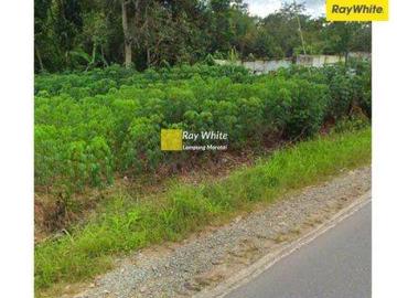 Tanah dijual di Gunung Sugih, Lampung Tengah