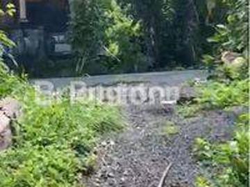 Tanah dijual di Dajanpeken, Tabanan