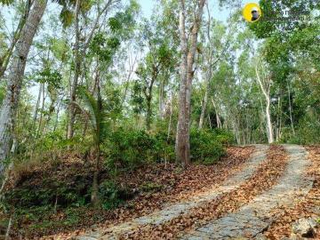 Tanah dijual di Kota Pacitan, Pacitan