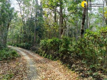 Tanah dijual di Kota Pacitan, Pacitan