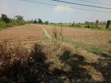 Tanah dijual di Kaliwungu, Kendal