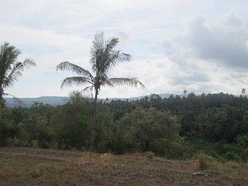 Tanah dijual di Karangasem, Karangasem