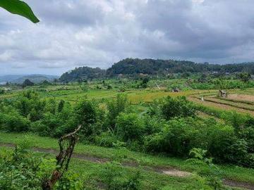 Tanah dijual di Karangasem, Karangasem