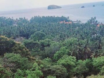 Tanah dijual di Karangasem, Karangasem