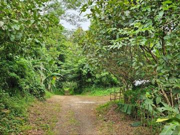Tanah dijual di Karangtanjung, Pandeglang