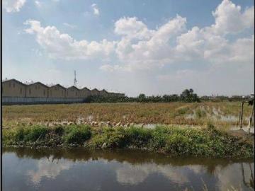Tanah dijual di Karangtengah, Demak
