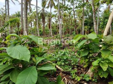 Tanah dijual di Karimunjawa, Jepara