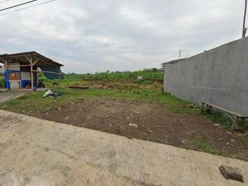 Tanah dijual di Kendal, Kendal