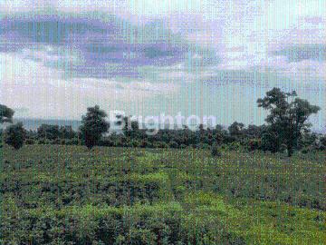 Tanah dijual di Kubu, Karangasem