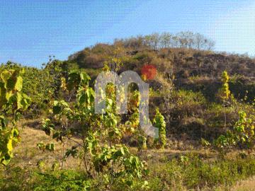 Tanah dijual di Kudus, Kabupaten Kudus