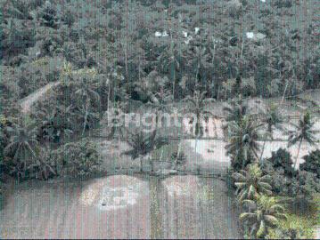 Tanah dijual di Jonggat, Lombok Tengah