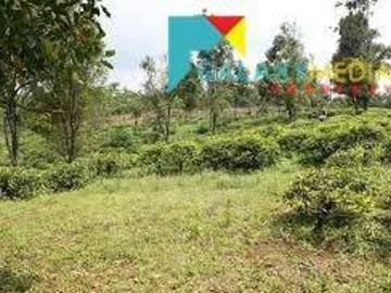 Tanah dijual di Sagalaherang, Subang